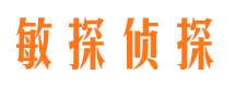 卫滨市侦探调查公司